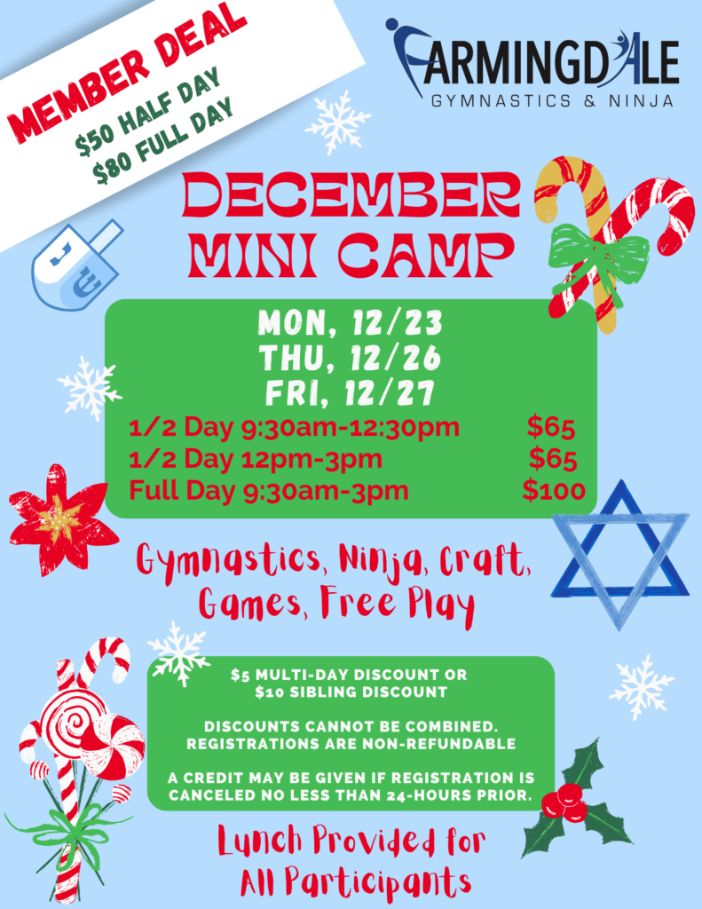 Holiday mini camp